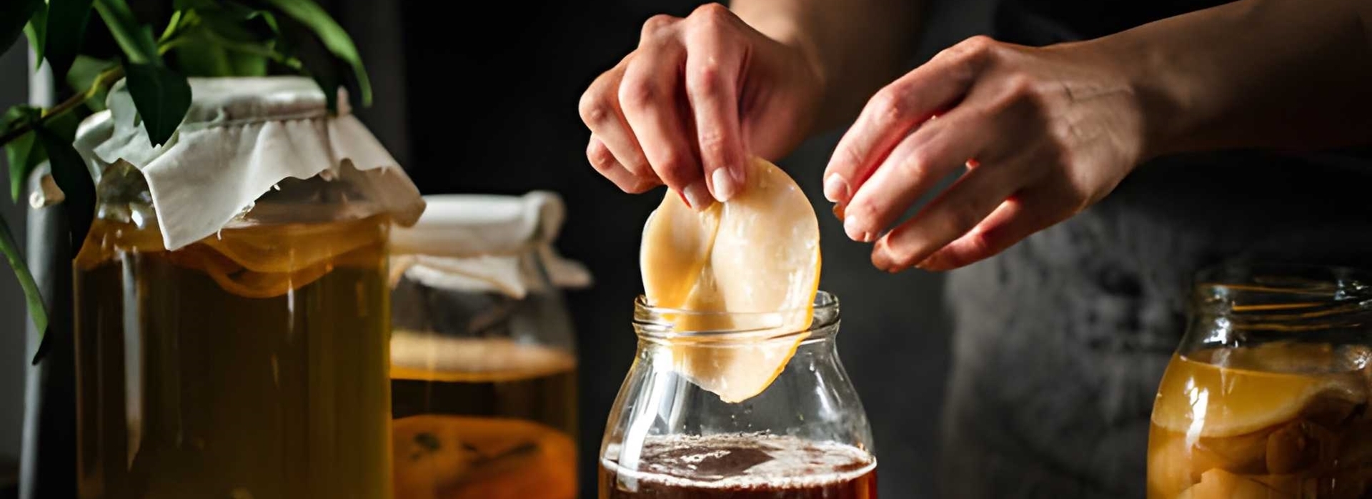 KOMBUCHA - SỨC MẠNH TỪ LỢI KHUẨN SỐNG
